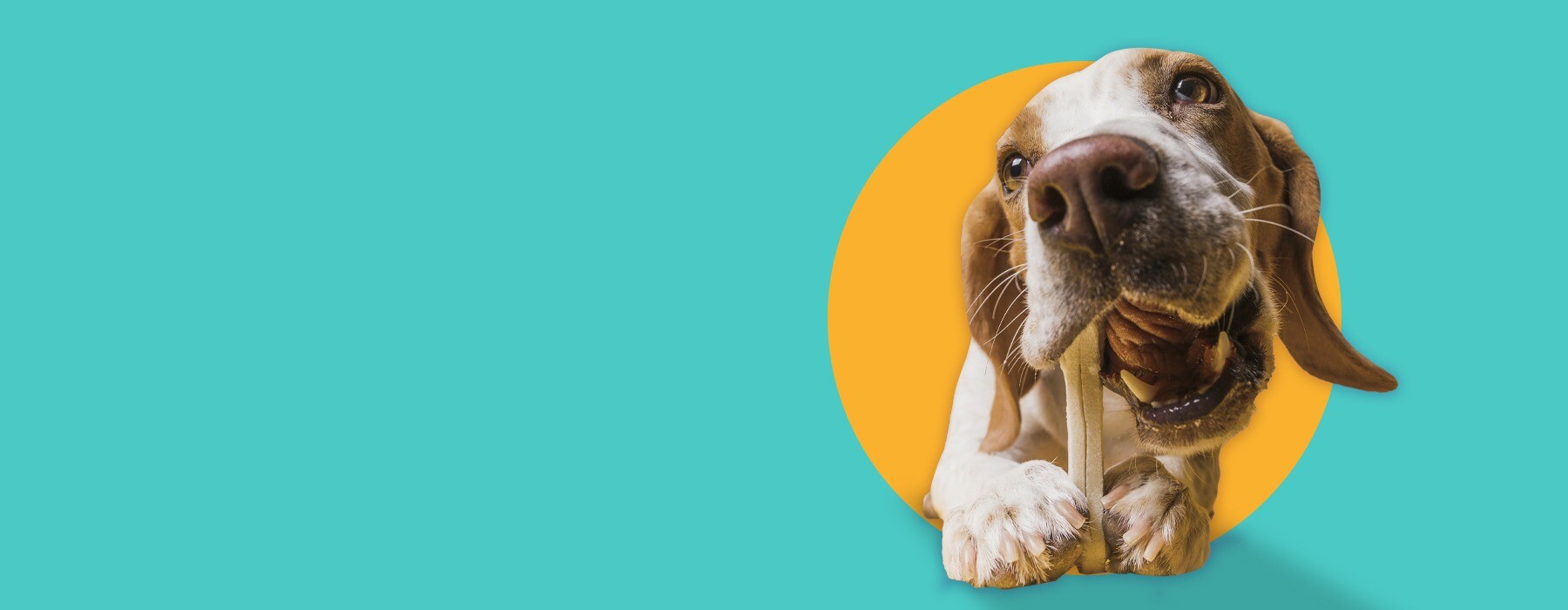 Encuentra todo para cuidar y consentir a ese ser tan especial.