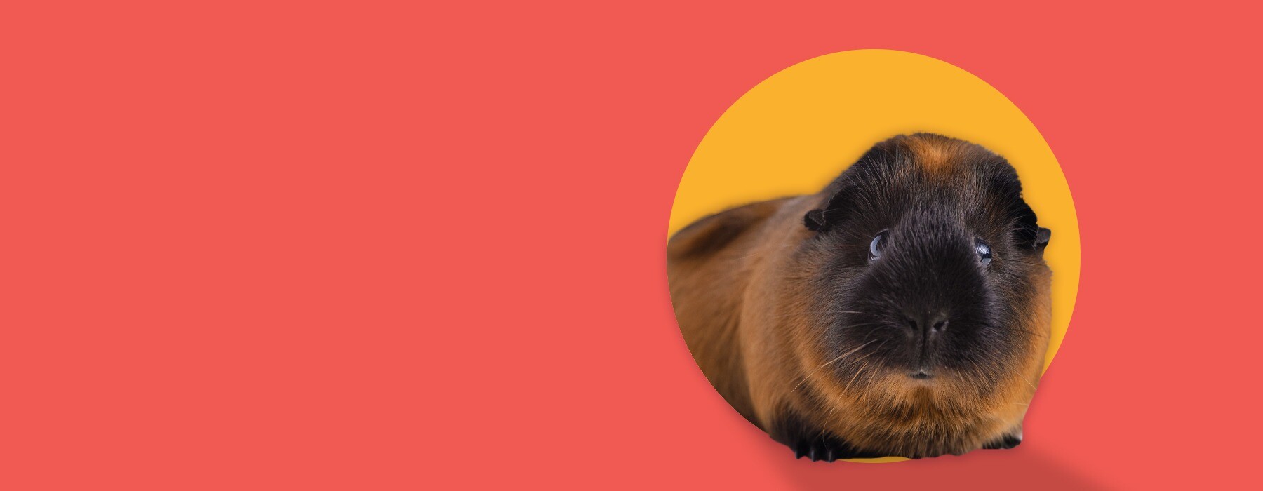 Encuentra todo para cuidar y consentir a ese ser tan especial.