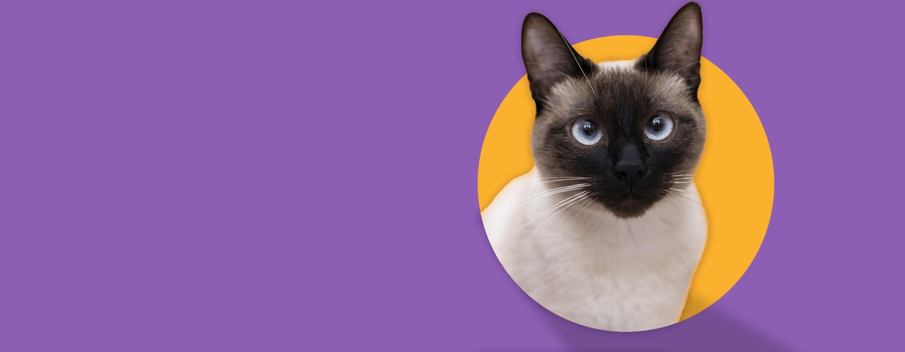 Encuentra todo para cuidar y consentir a ese ser tan especial.