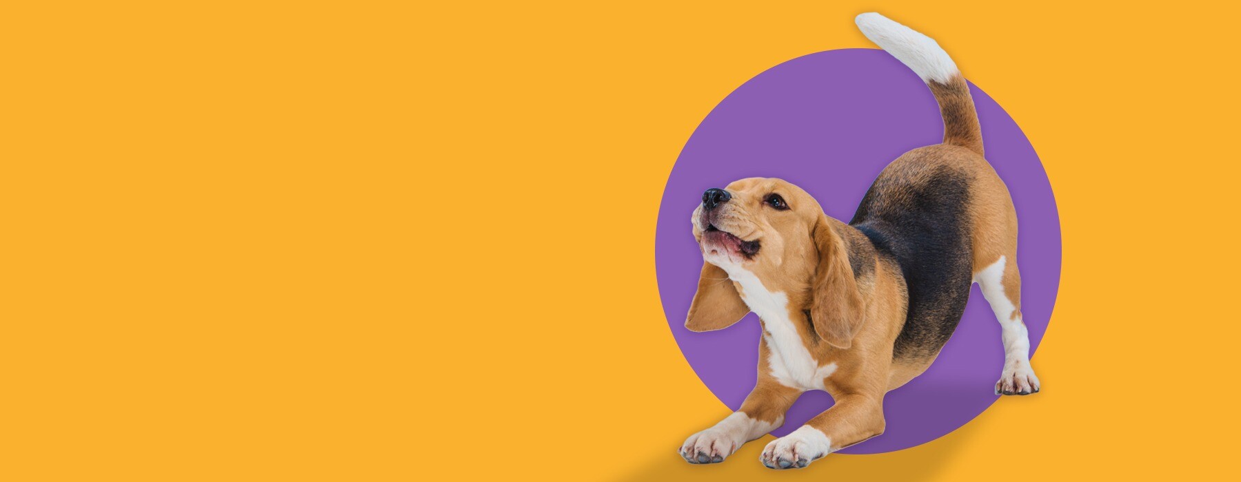 Encuentra todo para cuidar y consentir a ese ser tan especial.